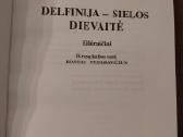 Aleksejus Kutkinas.delfinija - sielos dievaitė - nuotraukos Nr. 2