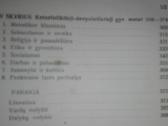 Vaikystė Ir Jaunystė Bühler C. 1938 m. - nuotraukos Nr. 5
