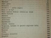 Antikvarinė-kolekcinė Žemaitė Raštai 3 t. - nuotraukos Nr. 3