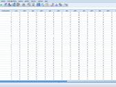 Spss konsultacijos ir duomenų analizės mokymai - nuotraukos Nr. 2