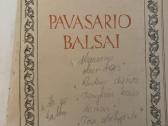 Lituanistinė literatūra - nuotraukos Nr. 5
