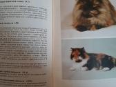 Атлас пород кошек. Kačių veislės Ru - nuotraukos Nr. 4