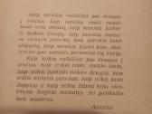 Vaikiška knygutė - nuotraukos Nr. 4