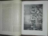 в. Г. Белинский Ибранные Сочинения 1949. m. - nuotraukos Nr. 7