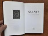 Gediminas Ilgūnas "Šaknys" 2000 m. - nuotraukos Nr. 4