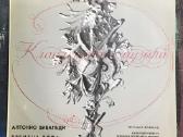 Vinilinės plokštelės iš dieduko palovės. - nuotraukos Nr. 14