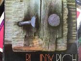 Vinilinės plokštelės iš dieduko palovės. - nuotraukos Nr. 22