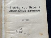 Mykolo Biržiškos knyga - nuotraukos Nr. 3