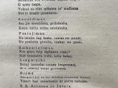 Mykolo Biržiškos knyga - nuotraukos Nr. 5