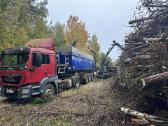 Apleistų sklypų tvarkymas,brangiai perkame biokurą - nuotraukos Nr. 11