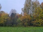 Namų valda 0,5340 ha Vilties g. Ignalina - nuotraukos Nr. 8
