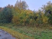Namų valda 0,5340 ha Vilties g. Ignalina - nuotraukos Nr. 9