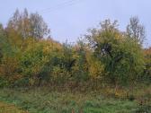 Namų valda 0,5340 ha Vilties g. Ignalina - nuotraukos Nr. 10