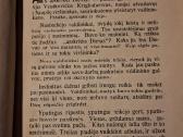 Kudirka - nuotraukos Nr. 3