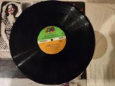 Bette Midler – Songs For The New Depression - nuotraukos Nr. 3