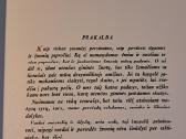 Palangos Juzė - nuotraukos Nr. 4
