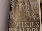 Vilnius tarp audrų - nuotraukos Nr. 2