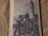 Vilnius tarp audrų - nuotraukos Nr. 11