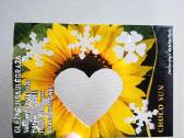 Dekoratyvinis skylamušis didelė širdis - nuotraukos Nr. 16