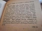 Ww2 pries amzinaji priesa 1945m - nuotraukos Nr. 5