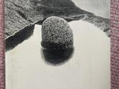 Albumas Lietuvos Fotografija 1981m. Leidimas