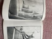 Albumas Lietuvos Fotografija 1981m. Leidimas - nuotraukos Nr. 2