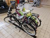 Burghardt Cruiser