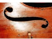 4/4 violončelė. Li Fratelli Fiori fece. - nuotraukos Nr. 6