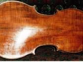 4/4 violončelė. Li Fratelli Fiori fece. - nuotraukos Nr. 2