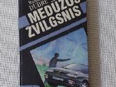 Raidas Dubrė - " Medūzos žvilgsnis ".