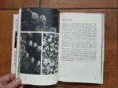 A. Nasvytaitis M. Nasvytaitis "Lietuvos medžiai" - nuotraukos Nr. 6