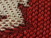 Vytis - nuotraukos Nr. 3