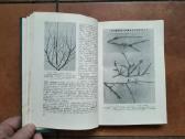 V. Venskutonis "Sodininkystė" 1966 metai - nuotraukos Nr. 4