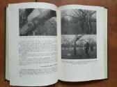 V. Venskutonis "Sodininkystė" 1966 metai - nuotraukos Nr. 8
