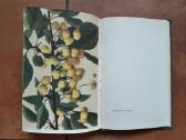 V. Venskutonis "Sodininkystė" 1966 metai - nuotraukos Nr. 19