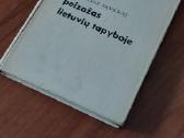 Parduodu paveikslą - Senojo Vilniaus vaizdas - nuotraukos Nr. 8
