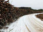 Apleistų sklypų tvarkymas ir kelmų frezavimas - nuotraukos Nr. 3