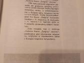 Knyga apie Kauno Žalgirį - nuotraukos Nr. 7