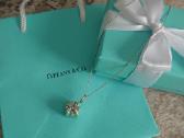 Tiffany & Co. Iconic blue box necklace ag925