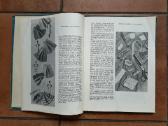 "Siuvame pačios" 1960 metai - nuotraukos Nr. 4