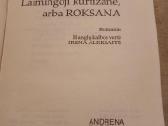 Puikus romanas - nuotraukos Nr. 5