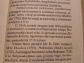 Puikus romanas - nuotraukos Nr. 6