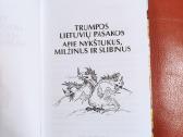 Trumpos lietuvių pasakos apie nykštukus, milžinus - nuotraukos Nr. 3