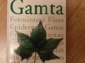 Gamta. Mokyklinė enciklopedija. Dk