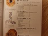 Gamta. Mokyklinė enciklopedija. Dk - nuotraukos Nr. 2