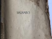 Retro knyga (antikvaras) Salambo 1948m - nuotraukos Nr. 2