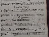 Natos 1925 Lithuanian Dances - nuotraukos Nr. 3