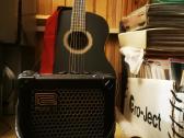 Klasikinė gitara + kolonėlė 'Roland