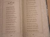 Poema - nuotraukos Nr. 5