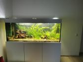 Parduodu